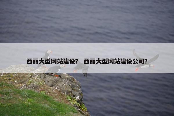 西丽大型网站建设？ 西丽大型网站建设公司？