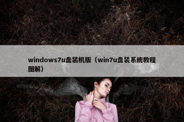 windows7u盘装机版（win7u盘装系统教程图解）