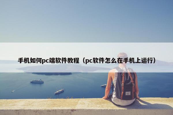 手机如何pc端软件教程（pc软件怎么在手机上运行）