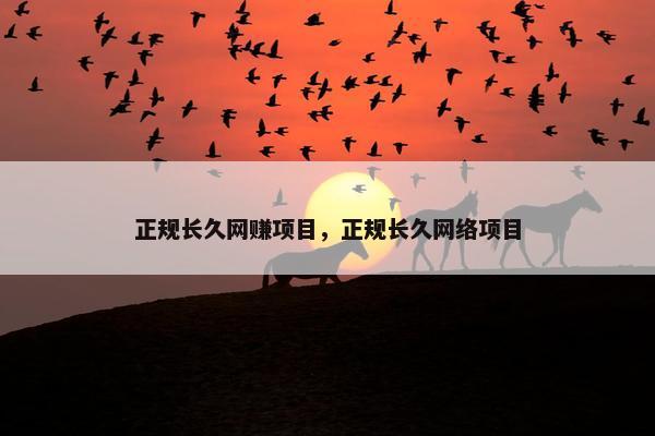 正规长久网赚项目，正规长久网络项目