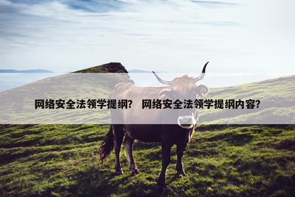 网络安全法领学提纲？ 网络安全法领学提纲内容？