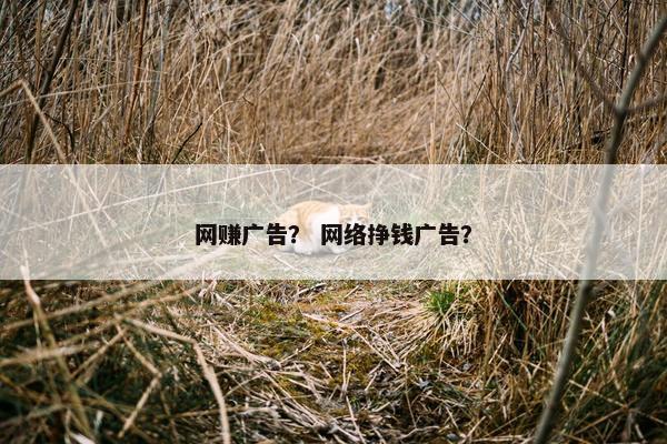 网赚广告？ 网络挣钱广告？