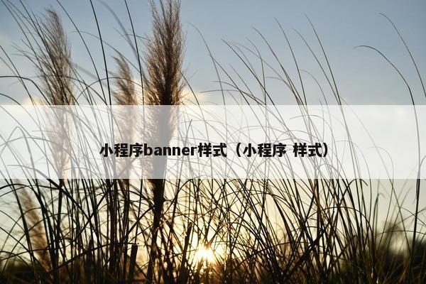 小程序banner样式（小程序 样式）