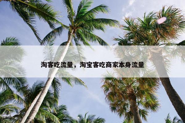 淘客吃流量，淘宝客吃商家本身流量