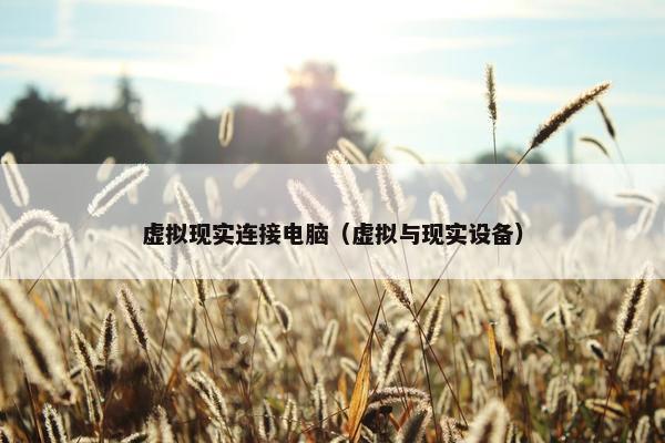 虚拟现实连接电脑（虚拟与现实设备）
