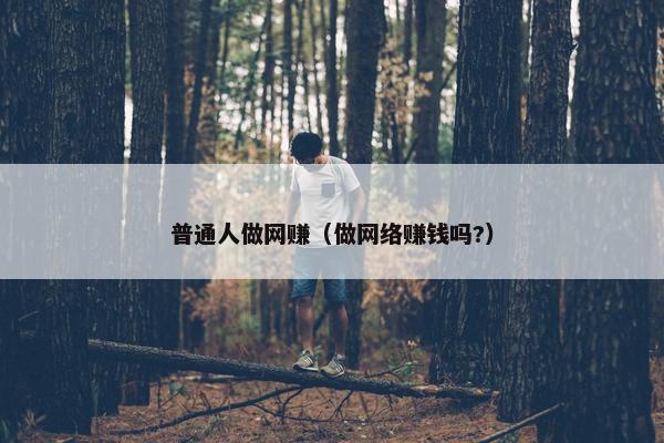 普通人做网赚（做网络赚钱吗?）