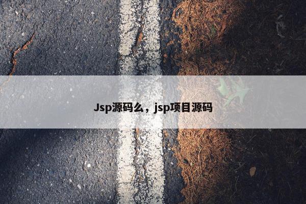 Jsp源码么，jsp项目源码