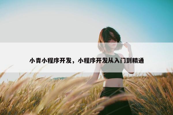 小青小程序开发，小程序开发从入门到精通