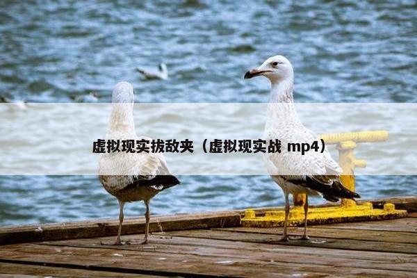 虚拟现实拔敌夹（虚拟现实战 mp4）