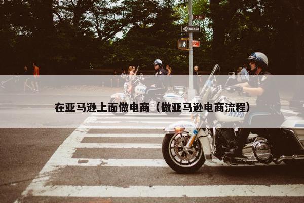 在亚马逊上面做电商（做亚马逊电商流程）