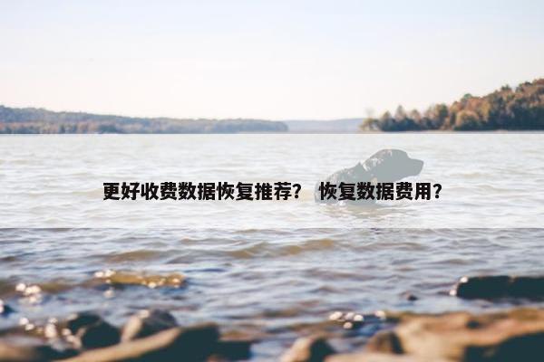 更好收费数据恢复推荐？ 恢复数据费用？
