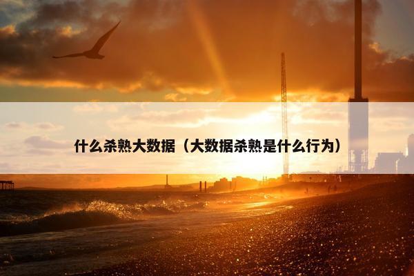 什么杀熟大数据（大数据杀熟是什么行为）