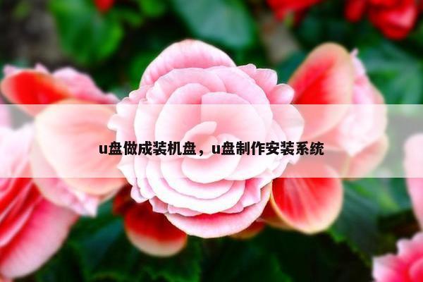 u盘做成装机盘，u盘制作安装系统