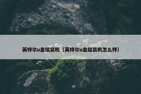 英特尔u盘组装机（英特尔u盘组装机怎么样）