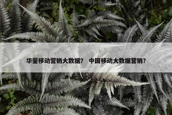 华蓥移动营销大数据？ 中国移动大数据营销？