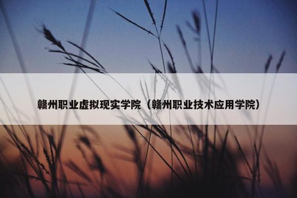 赣州职业虚拟现实学院（赣州职业技术应用学院）