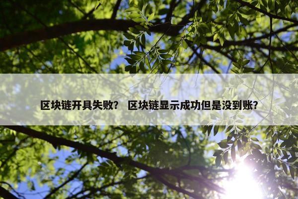 区块链开具失败？ 区块链显示成功但是没到账？