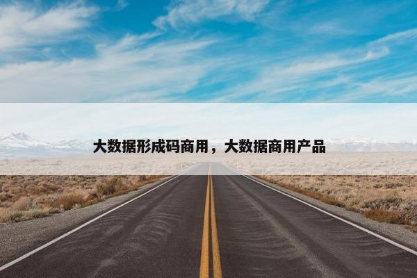 大数据形成码商用，大数据商用产品