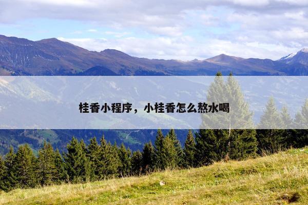 桂香小程序，小桂香怎么熬水喝
