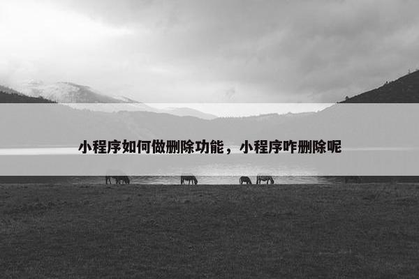 小程序如何做删除功能，小程序咋删除呢