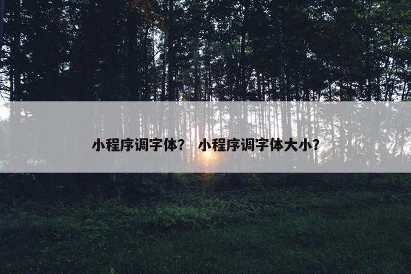 小程序调字体？ 小程序调字体大小？