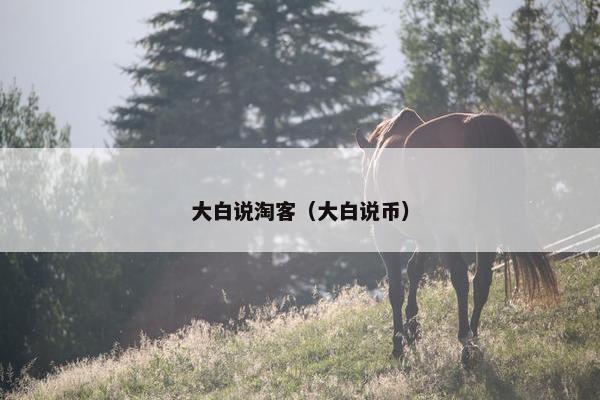 大白说淘客（大白说币）