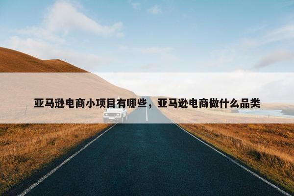 亚马逊电商小项目有哪些，亚马逊电商做什么品类