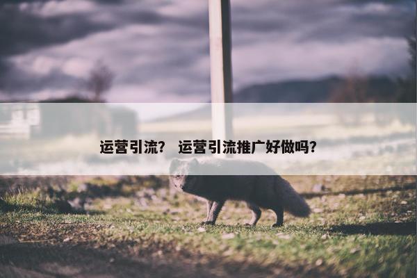 运营引流？ 运营引流推广好做吗？