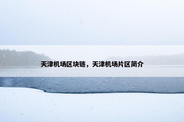 天津机场区块链，天津机场片区简介