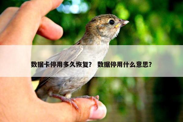 数据卡停用多久恢复？ 数据停用什么意思？