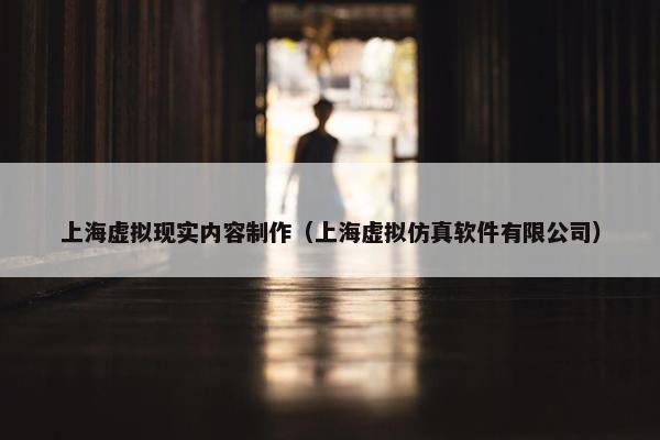 上海虚拟现实内容制作（上海虚拟仿真软件有限公司）