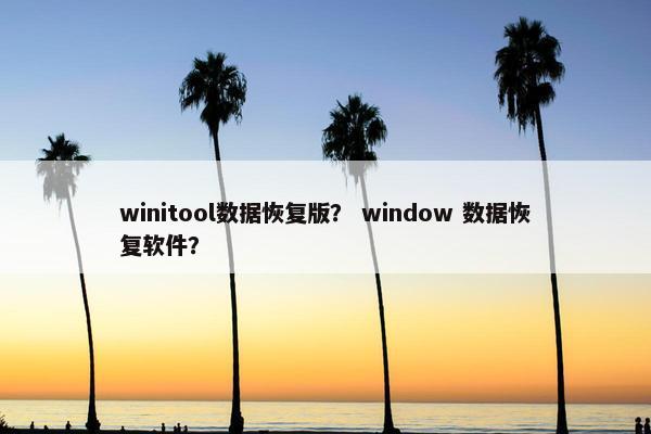 winitool数据恢复版？ window 数据恢复软件？
