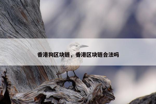 香港狗区块链，香港区块链合法吗
