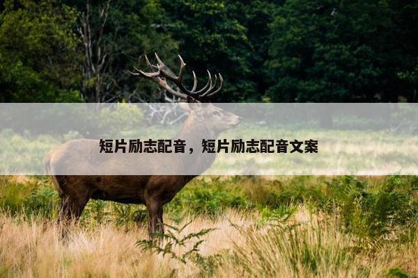 短片励志配音，短片励志配音文案
