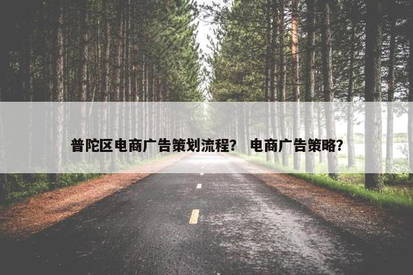 普陀区电商广告策划流程？ 电商广告策略？