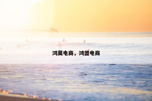 鸿莫电商，鸿盟电商