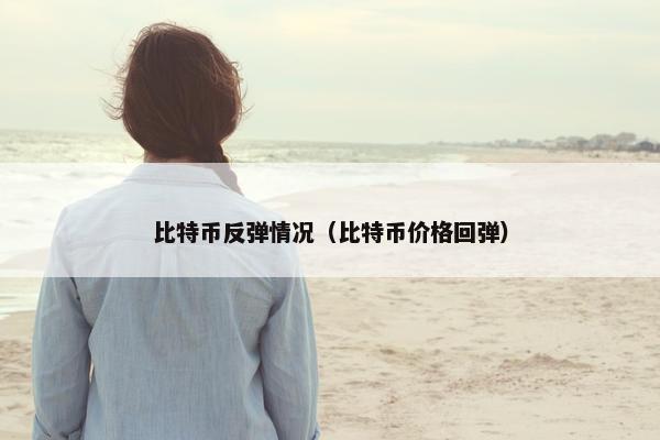 比特币反弹情况（比特币价格回弹）