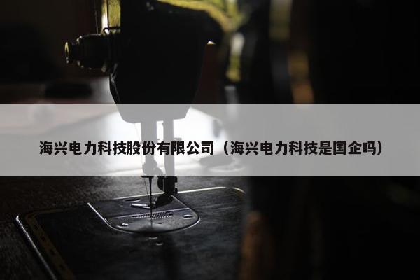 海兴电力科技股份有限公司（海兴电力科技是国企吗）