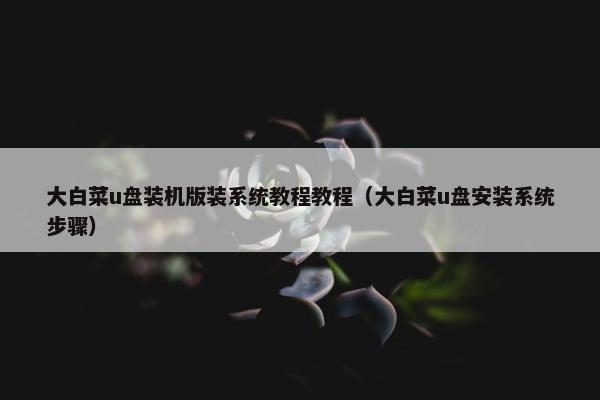 大白菜u盘装机版装系统教程教程（大白菜u盘安装系统步骤）