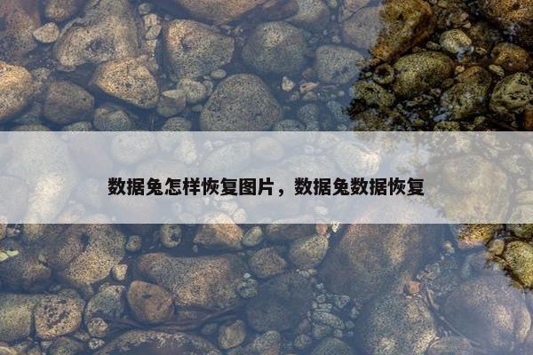 数据兔怎样恢复图片，数据兔数据恢复