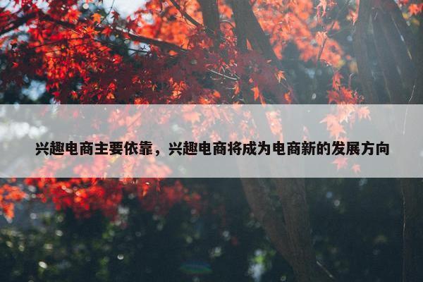 兴趣电商主要依靠，兴趣电商将成为电商新的发展方向