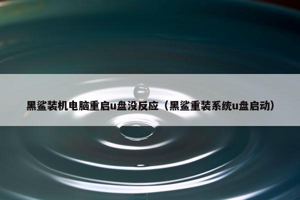 黑鲨装机电脑重启u盘没反应（黑鲨重装系统u盘启动）