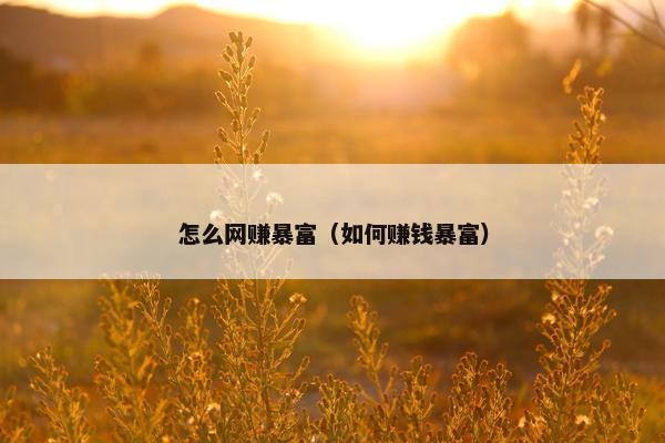 怎么网赚暴富（如何赚钱暴富）